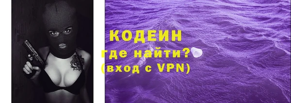 СК Няндома