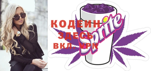 СК Няндома
