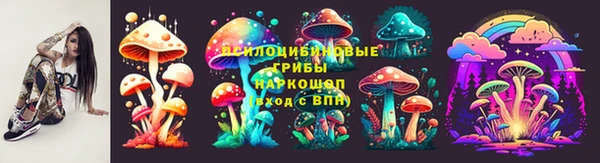 СК Няндома