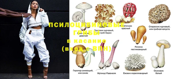 СК Няндома