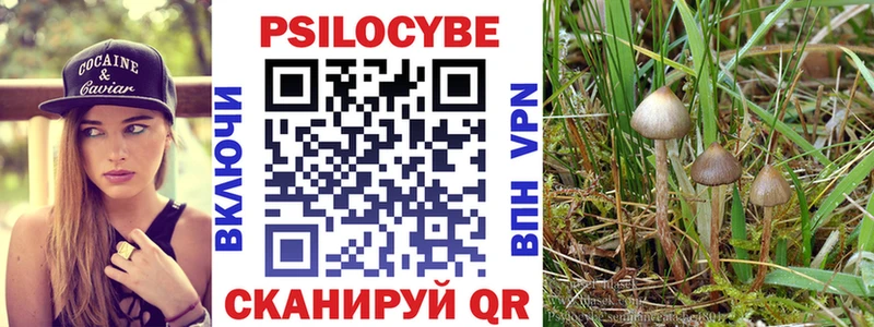 Галлюциногенные грибы прущие грибы мориарти как зайти Кимры