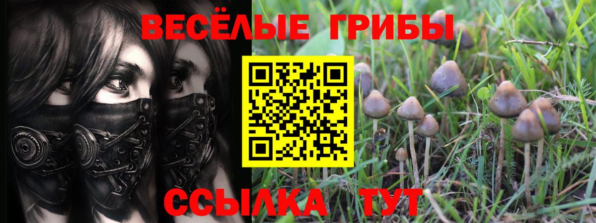 Кимры  где можно купить наркотик  Вход с VPN  Псилоцибиновые грибы MAGIC MUSHROOMS 