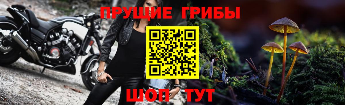 Псилоцибиновые грибы Psilocybe  Кимры  Галлюциногенные грибы мухоморы 